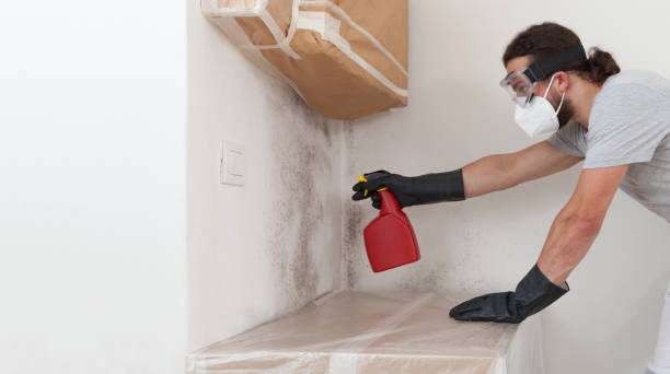Professional Bathroom Mold Removal technician working in Jarrettsville, MD